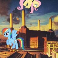 Registered Pony