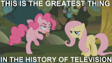 Flutterguy
