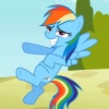 Macramepony