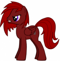 brony4ever