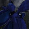 LostBrony