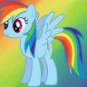 rainboom101