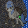 SadiePony