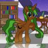 Newmoon Winter