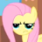 EquusStorm