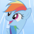 TheSonicRainboom