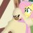 Liondash