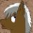 Flashwind