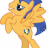 Dashie 1