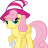 Shawn ShyGuy