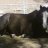 Rainydayz:Mylilpony