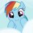 Rainbow~Dash