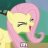 Ponyplaya