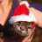 theotter
