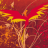 DjPheonix